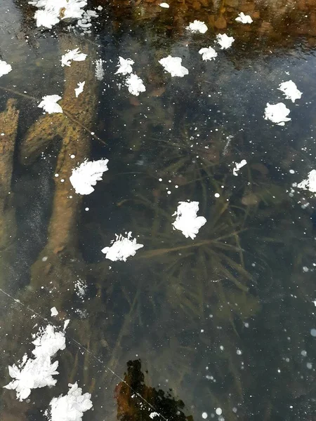 Şeffaf ilk buz ve kar izleri.