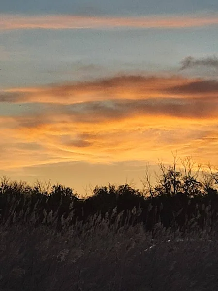 Tarlada gün batımı