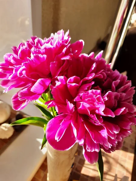 Dikenli kırmızı çiçekler - şakayıklar