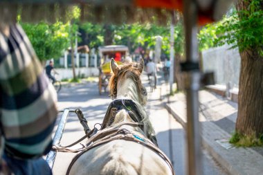 Güneşli bir günde Beuyukada manzaralı geleneksel bir at arabasının (phaeton) arka manzarası. Büyükada, İstanbul ilinin Adalar ilçesine bağlı bir mahalledir..
