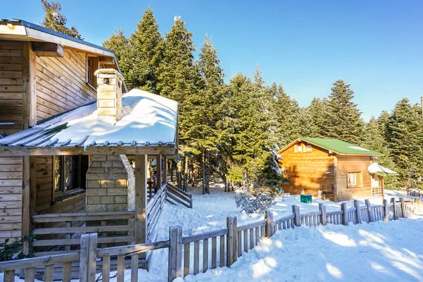 Schöne Holzhaus Blick Auf Den Verschneiten Wald Einem Sonnigen Wintertag — Stockfoto