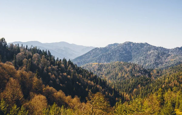 Colorful autumn view of Yedigoller National Park. Yedigoller is (Turkish: Yedigoller Milli Parki) also known as Seven Lakes National Park is located in the northern part of Bolu Province in Turkey.