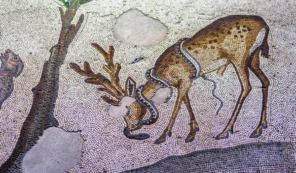 Mosaico Que Representa Ciervo Matando Una Serpiente Del Período Bizantino — Foto de Stock