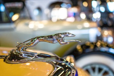 Ford Greyhound kaput süsü sarı retro arabada.