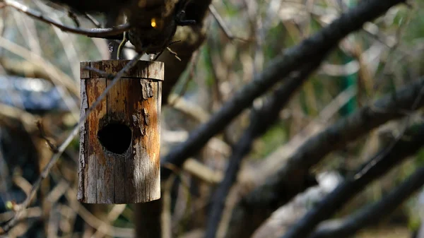Vogelhäuschen Aus Holz Der Freizeit — Stockfoto