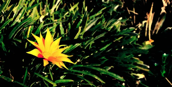 Doğadaki Sarı Çiçek Dijital Illüstrasyon — Stok fotoğraf