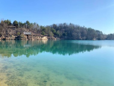 Ukrayna 'da manzara. Sudaki ağaçların yansıması