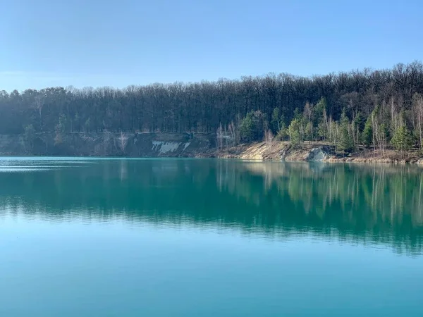 Ukrayna 'da manzara. Sudaki ağaçların yansıması