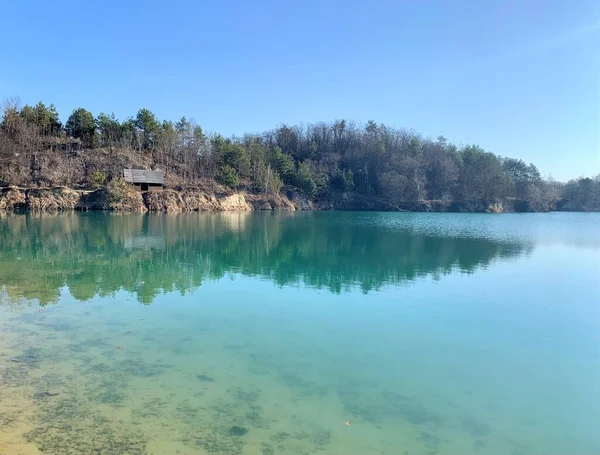 Ukrayna 'da manzara. Sudaki ağaçların yansıması