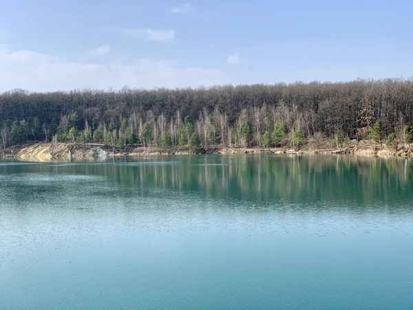 Ukrayna 'da manzara. Sudaki ağaçların yansıması
