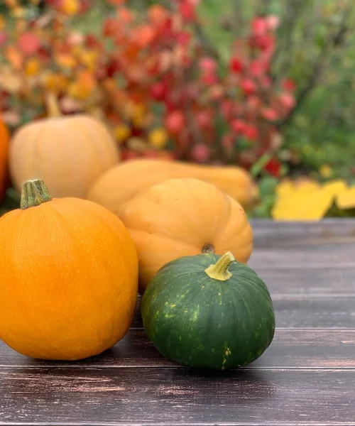 Kabak, ahşap bir arka planda yakın plan. Cadılar Bayramı ve Şükran Günü bayrağı