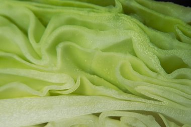 Dilimlenmiş lahana ve lahana yapraklarının makro fotoğrafını kaybederiz.