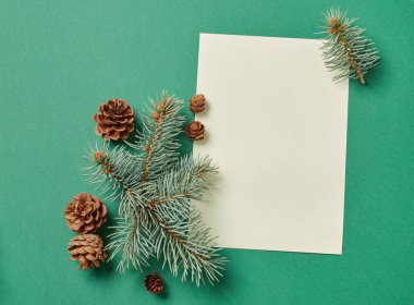 Ağaçların dalları ve yeşil arkaplan üzerine boş kağıt