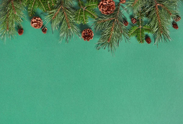Fir Tree Branches Green Background — Stock Photo, Image