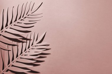 Kağıt arkaplanda tropik yapraklar