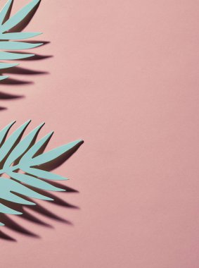 Kağıt arkaplan üzerindeki yapraklar