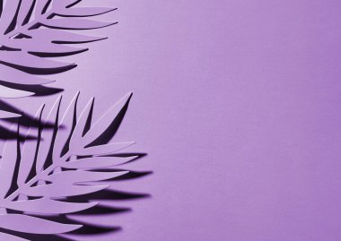 Kağıt arkaplan üzerindeki yapraklar