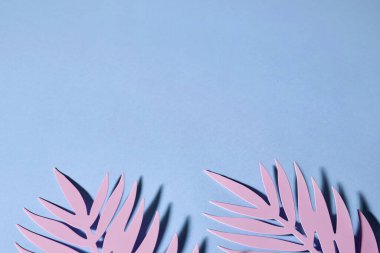 Kağıt arkaplan üzerindeki yapraklar