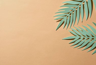 Kağıt arkaplan üzerindeki yapraklar