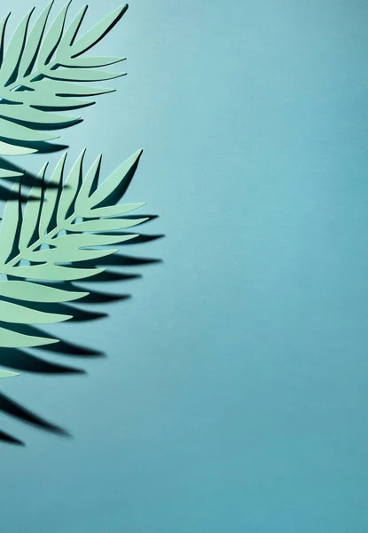 Tropische Bladeren Blauwe Achtergrond — Stockfoto