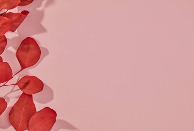 Yapraklar pembeye yakın çekim