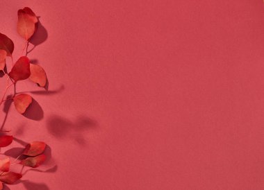 Yapraklar kırmızıya yakın çekim