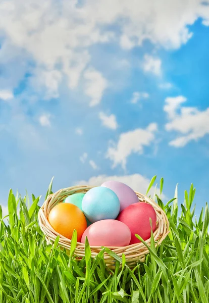 Kosz Kolorowymi Jajkami Trawie — Zdjęcie stockowe
