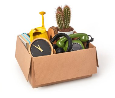 Karton kutuları eşyalarla dolduruyorum.