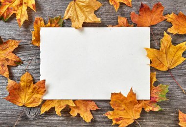 Ahşap arka planda sonbahar yaprakları