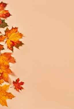 Turuncu zemin üzerine sonbahar yaprakları