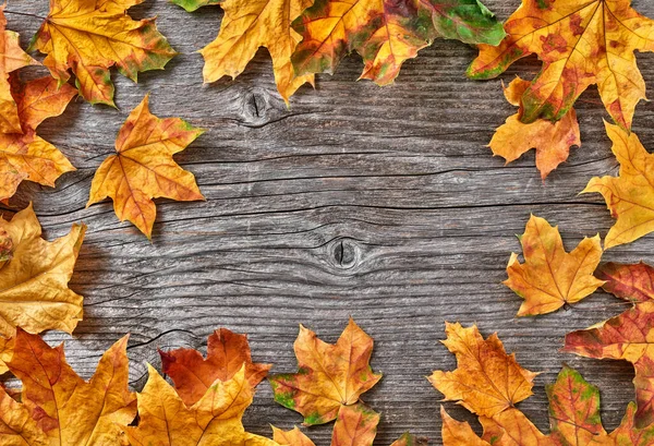 木制背景的秋天叶子 — 图库照片
