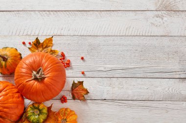 Beyaz ahşap zeminde balkabakları ve yapraklar