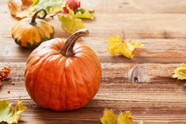 kabaklar ahşap arkaplanda