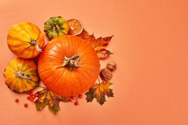 Turuncu arka planda balkabakları ve yapraklar