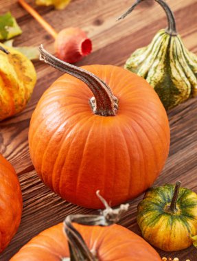 kabaklar ahşap arkaplanda