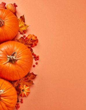 Turuncu arka planda balkabakları ve yapraklar