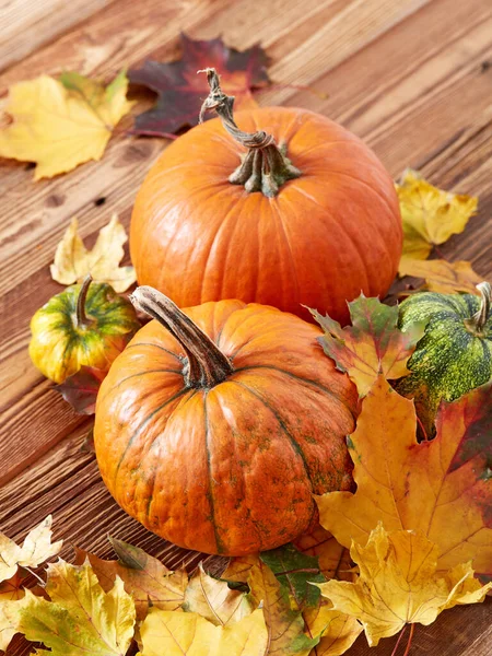 Pumpkins Wooden Background — Stock Photo, Image
