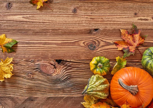 Calabazas Sobre Fondo Madera — Foto de Stock