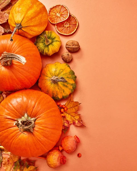 Calabazas Hojas Sobre Fondo Naranja — Foto de Stock