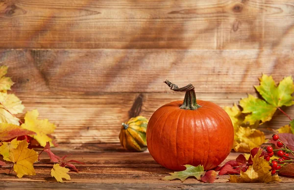 Pumpkins Wooden Background — Stock Photo, Image