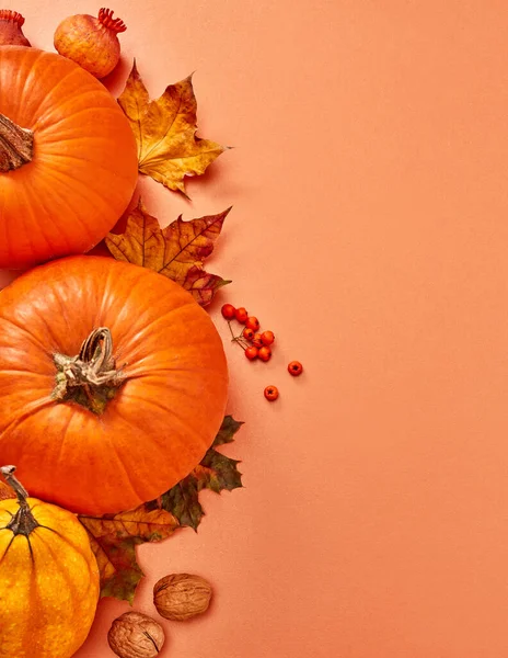 Calabazas Hojas Sobre Fondo Naranja — Foto de Stock