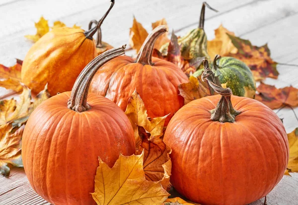 Pumpar Och Löv Vitt Trägolv — Stockfoto