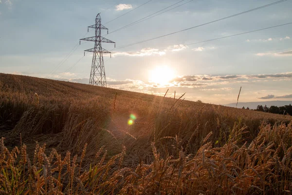 Alandaki yüksek voltajlı elektrik hatları