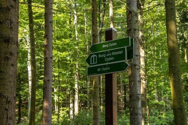Wald in der Saesischen Schweiz Obyin