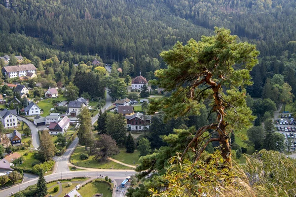 Wald in der Saesischen Schweiz Obyin