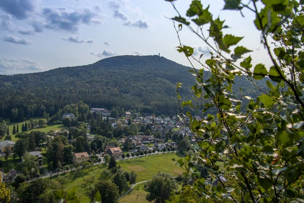 Wald in der Saesischen Schweiz Obyin
