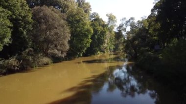 Spree und Baeume im Wald