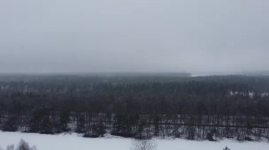 Zugvoegel im Winter fliegen vorbei