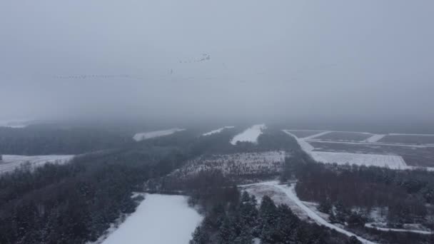 Winterwald Der Naehe Von Spremberg — Stok video