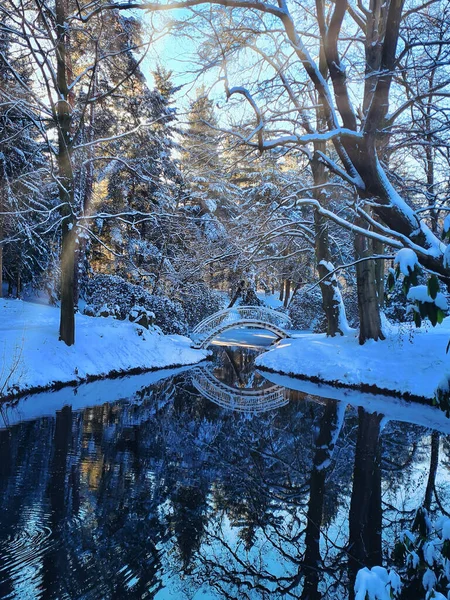 Kromlau Parkı Rakozbrcke Kış Schnee